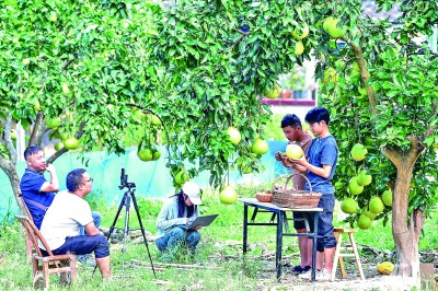 如何让消费者更放心麻将胡了直播电商(图5) 如何让消费者更放心麻将胡了直播电商(图5)