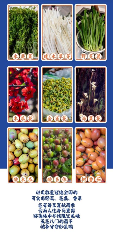 云肴酸菜牛肉火锅开启酸辣新体验PG电子麻将胡了试玩沸腾酸香遇(图5)