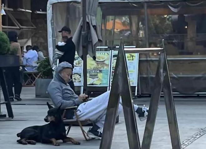 着大狗外出坐在路边看手机生活非常悠闲PG电子麻将胡了50岁乐嘉定居云南牵(图4)