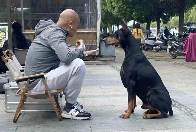 着大狗外出坐在路边看手机生活非常悠闲PG电子麻将胡了50岁乐嘉定居云南牵(图9)