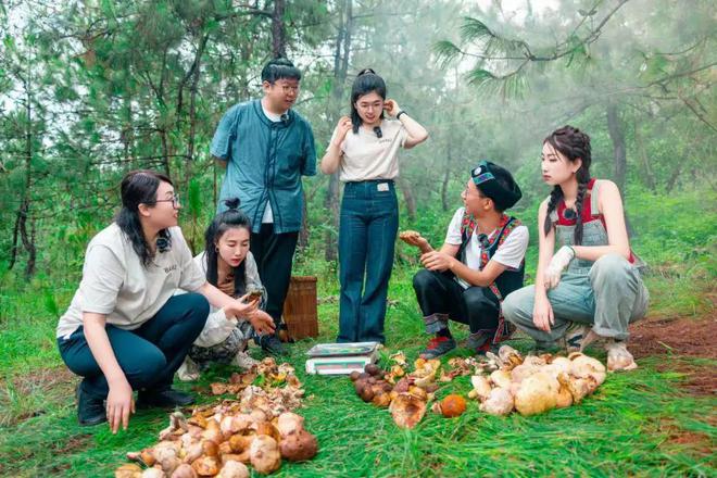 成为餐饮人新的灵感之都！麻将胡了山野系火了云南正(图3)