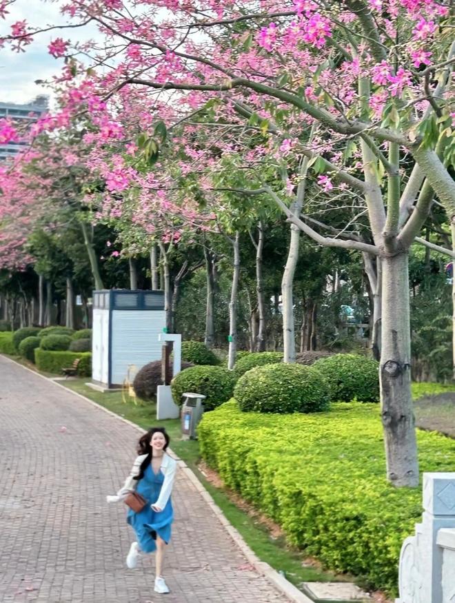 必去玩的景点及线路攻略北京超详细攻略麻将胡了网址暑假带孩子第一次去北京(图1) 必去玩的景点及线路攻略北京超详细攻略麻将胡了网址暑假带孩子第一次去北京(图1)