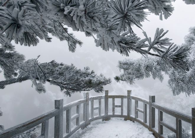 降雪刷爆朋友圈冬天的雾凇雪景比北方更有韵味PG麻将胡了免费试玩模拟器天柱山元旦首场(图3)