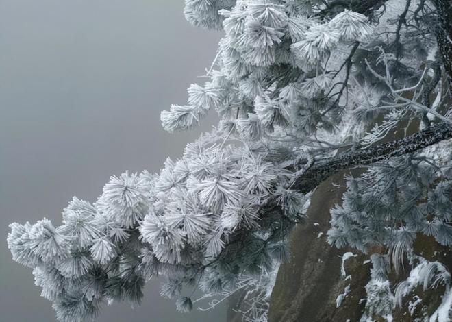 降雪刷爆朋友圈冬天的雾凇雪景比北方更有韵味PG麻将胡了免费试玩模拟器天柱山元旦首场(图2)